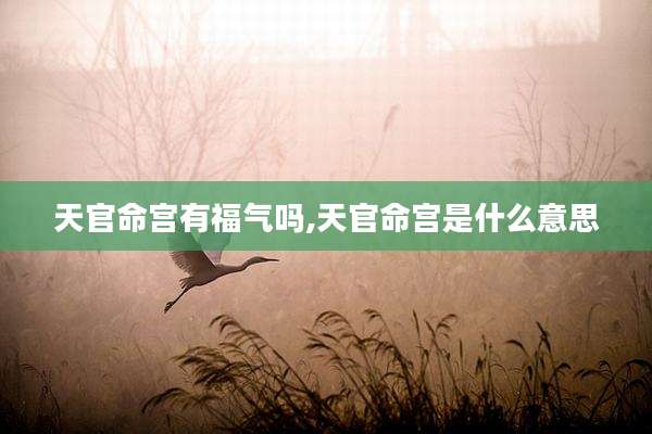 天官命宫有福气吗,天官命宫是什么意思