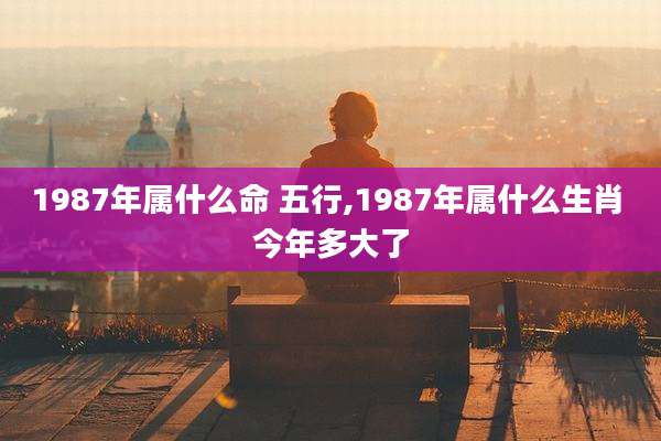 1987年属什么命 五行,1987年属什么生肖 今年多大了