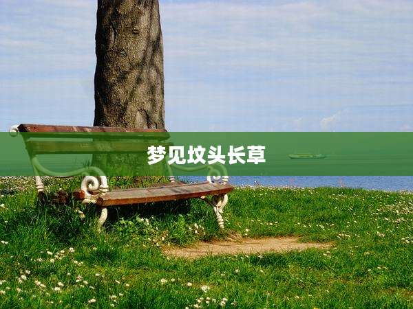 梦见坟头长草