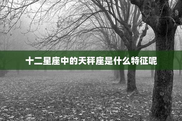 十二星座中的天秤座是什么特征呢