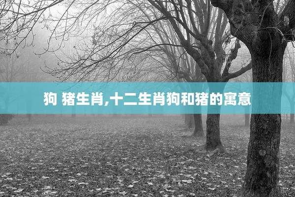 狗 猪生肖,十二生肖狗和猪的寓意