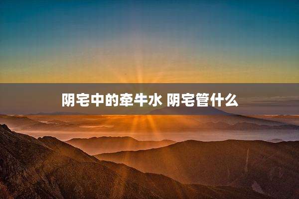 阴宅中的牵牛水 阴宅管什么