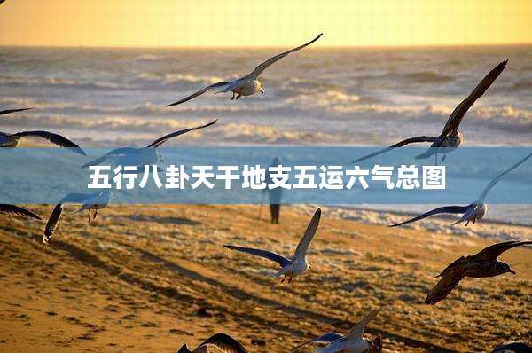 五行八卦天干地支五运六气总图