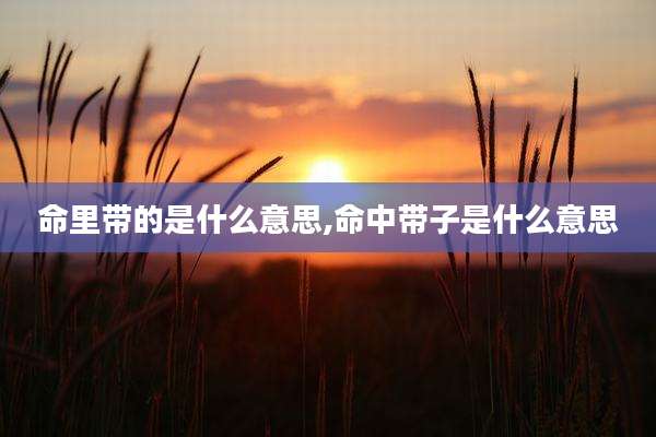 命里带的是什么意思,命中带子是什么意思
