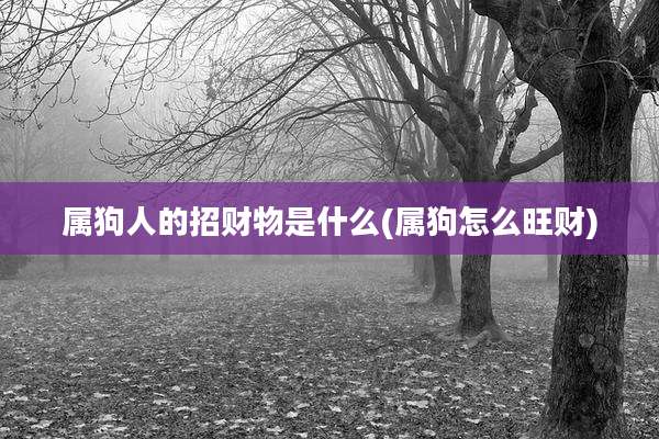 属狗人的招财物是什么(属狗怎么旺财)