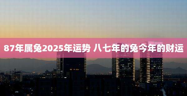 87年属兔2025年运势 八七年的兔今年的财运
