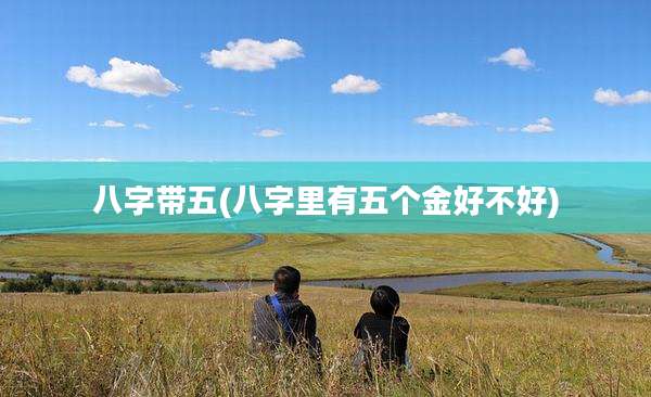八字带五(八字里有五个金好不好)