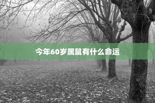 今年60岁属鼠有什么命运