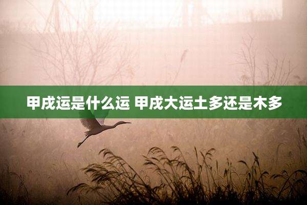 甲戌运是什么运 甲戌大运土多还是木多