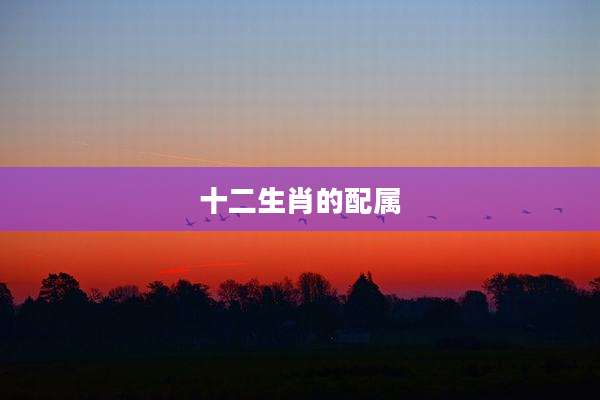 十二生肖的配属