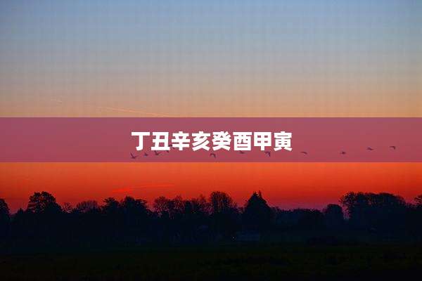 丁丑辛亥癸酉甲寅