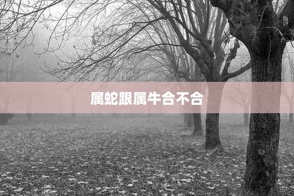 属蛇跟属牛合不合