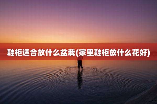 鞋柜适合放什么盆栽(家里鞋柜放什么花好)