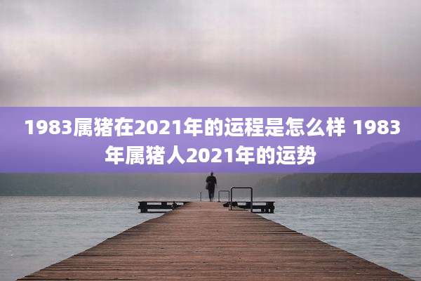 1983属猪在2021年的运程是怎么样 1983年属猪人2021年的运势