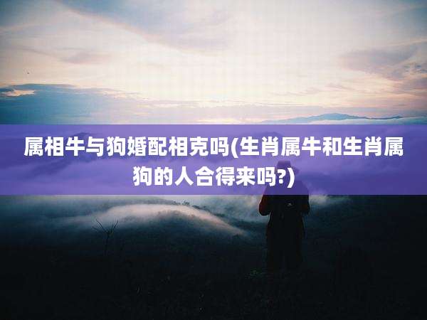 属相牛与狗婚配相克吗(生肖属牛和生肖属狗的人合得来吗?)