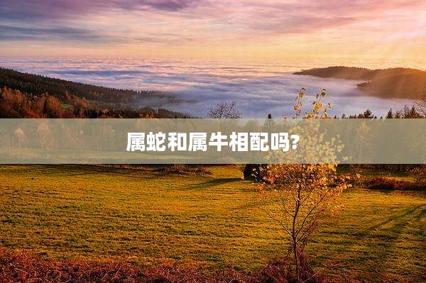 属蛇和属牛相配吗?