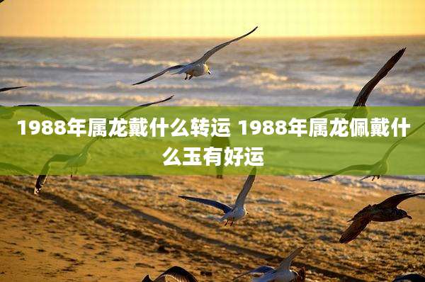 1988年属龙戴什么转运 1988年属龙佩戴什么玉有好运