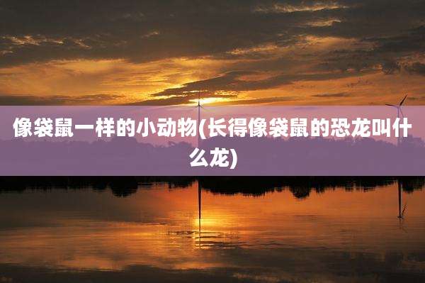像袋鼠一样的小动物(长得像袋鼠的恐龙叫什么龙)