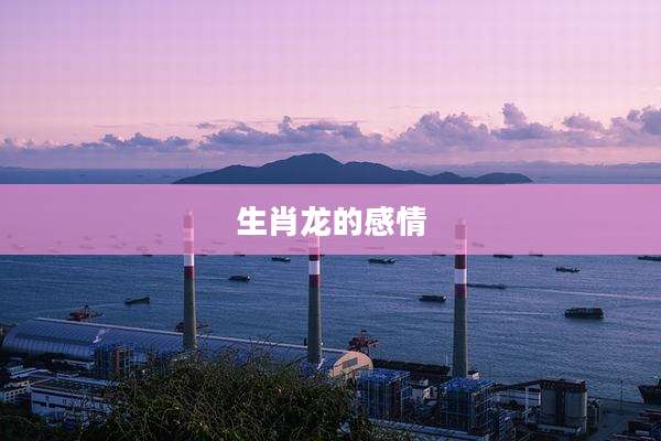 生肖龙的感情