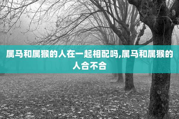 属马和属猴的人在一起相配吗,属马和属猴的人合不合