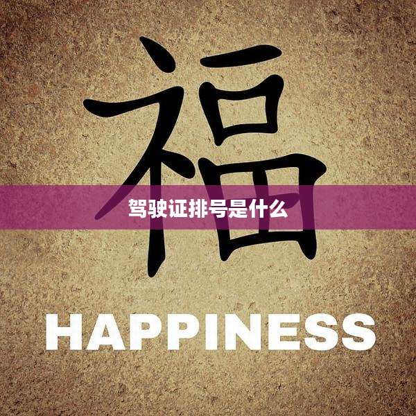 驾驶证排号是什么
