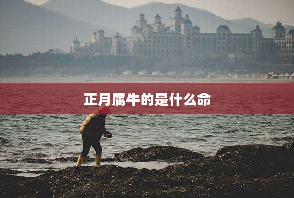 正月属牛的是什么命