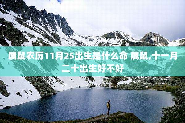 属鼠农历11月25出生是什么命 属鼠,十一月二十出生好不好