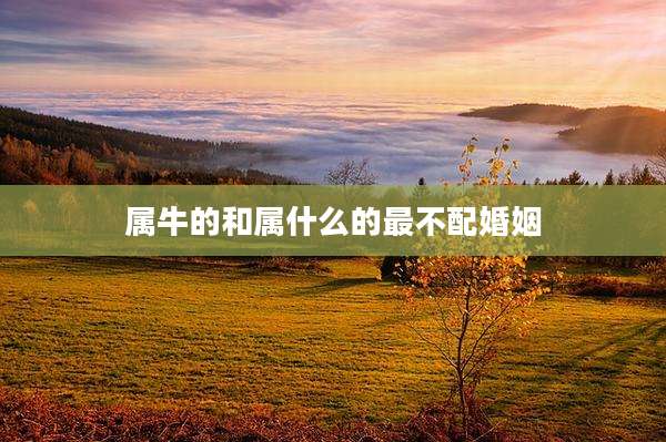 属牛的和属什么的最不配婚姻