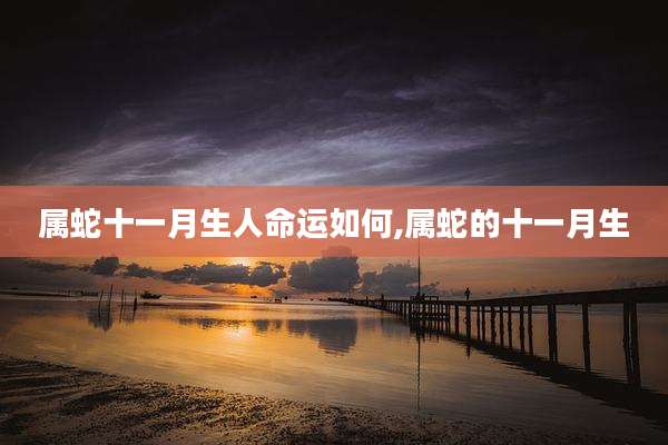 属蛇十一月生人命运如何,属蛇的十一月生