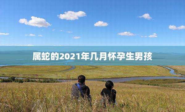 属蛇的2021年几月怀孕生男孩