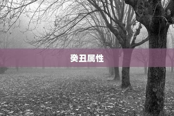 癸丑属性
