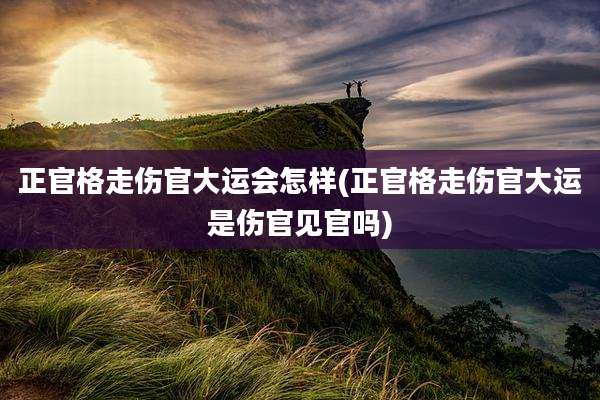 正官格走伤官大运会怎样(正官格走伤官大运是伤官见官吗)