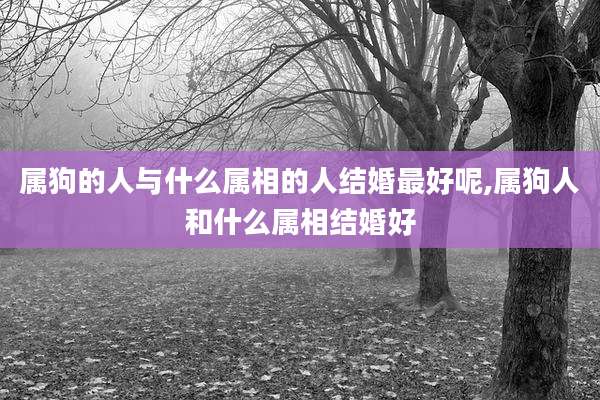 属狗的人与什么属相的人结婚最好呢,属狗人和什么属相结婚好