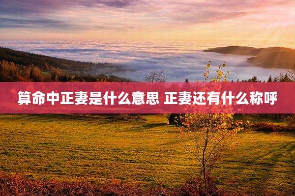 算命中正妻是什么意思 正妻还有什么称呼