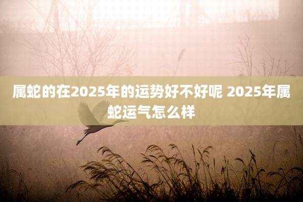 属蛇的在2025年的运势好不好呢 2025年属蛇运气怎么样