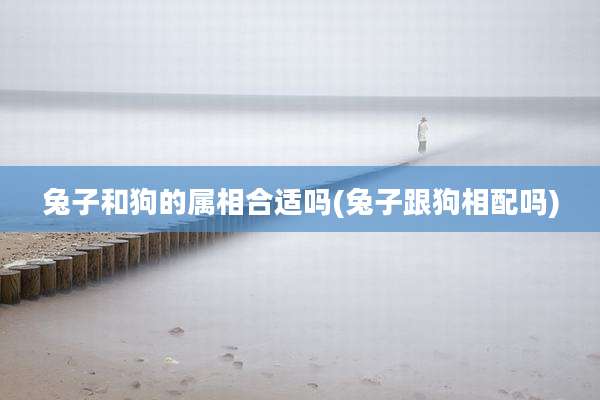 兔子和狗的属相合适吗(兔子跟狗相配吗)