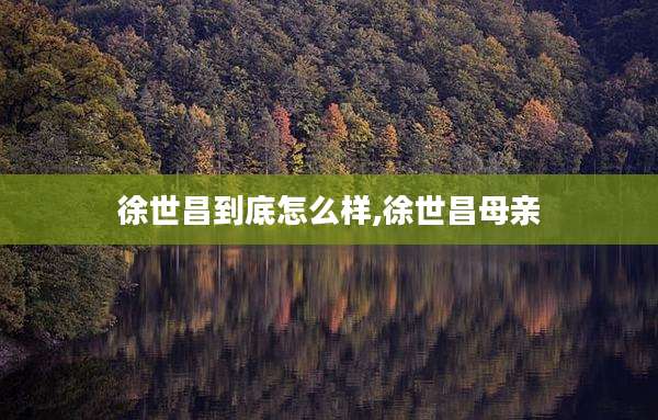 徐世昌到底怎么样,徐世昌母亲