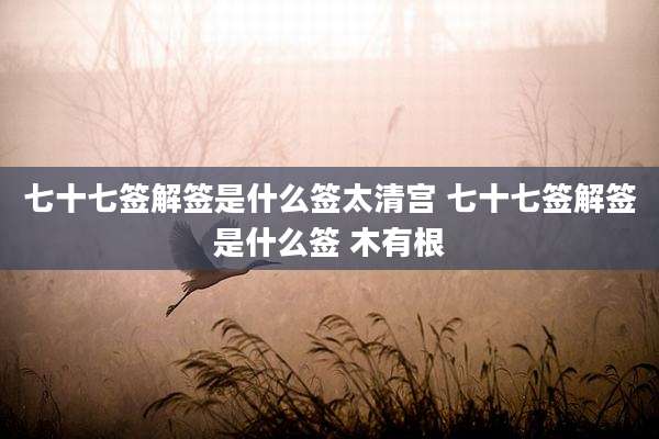 七十七签解签是什么签太清宫 七十七签解签是什么签 木有根