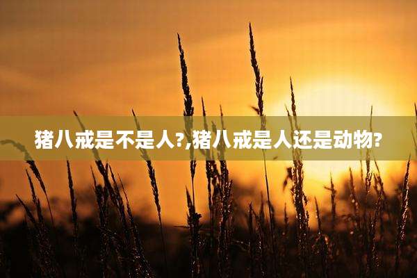 猪八戒是不是人?,猪八戒是人还是动物?