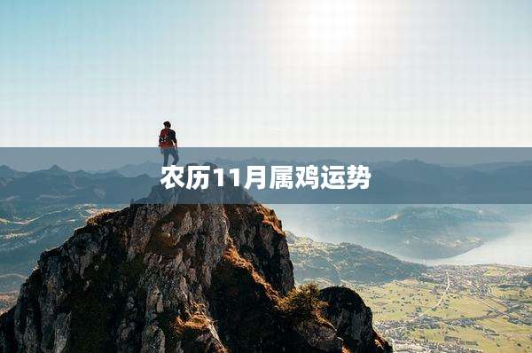 农历11月属鸡运势