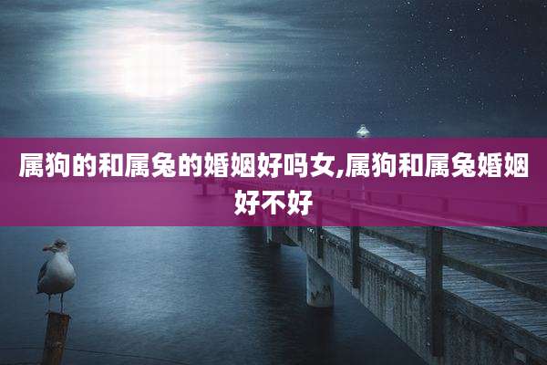 属狗的和属兔的婚姻好吗女,属狗和属兔婚姻好不好