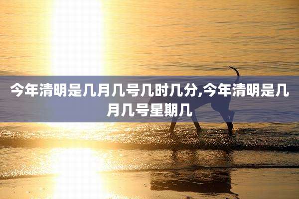 今年清明是几月几号几时几分,今年清明是几月几号星期几