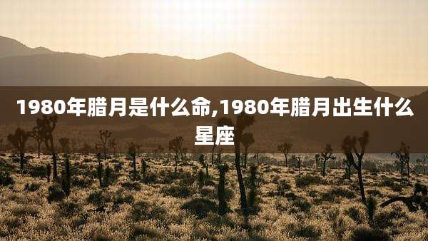 1980年腊月是什么命,1980年腊月出生什么星座