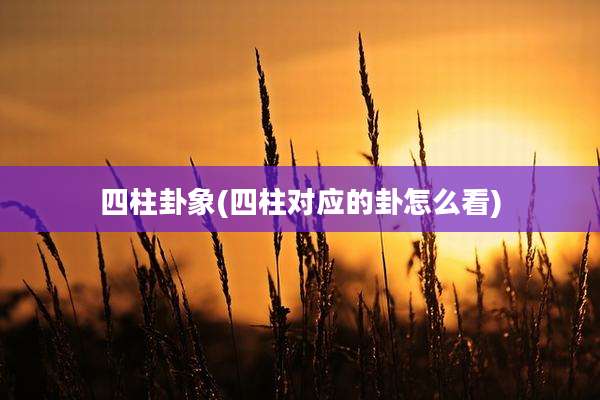 四柱卦象(四柱对应的卦怎么看)