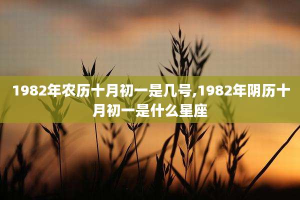1982年农历十月初一是几号,1982年阴历十月初一是什么星座