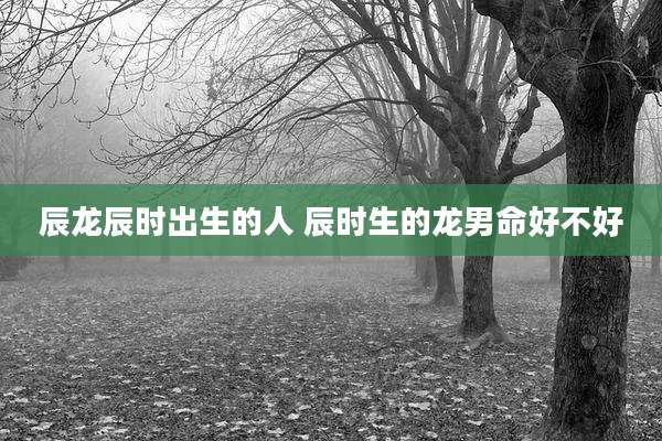 辰龙辰时出生的人 辰时生的龙男命好不好