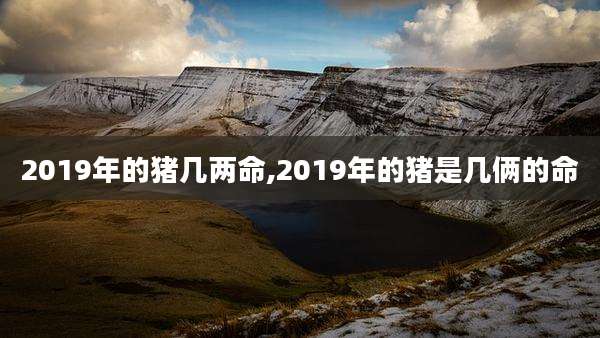 2019年的猪几两命,2019年的猪是几俩的命