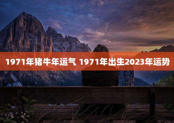 1971年猪牛年运气 1971年出生2023年运势