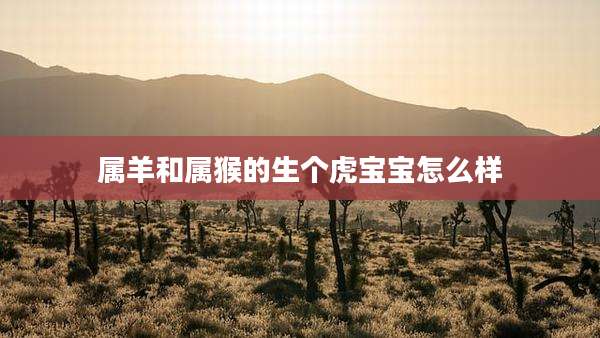 属羊和属猴的生个虎宝宝怎么样
