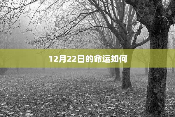 12月22日的命运如何